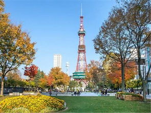 大通一日旅游