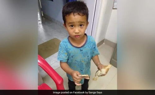 表情 印度6岁男孩骑车不小心撞伤一只小鸡,送鸡就医花光所有 积蓄 德里克 表情 