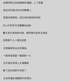 求助日语大神们帮忙翻译日语歌词 