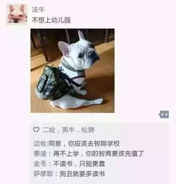 喝多就直接睡朋友家了,第二天发现我跟他女友睡床上,他睡地下