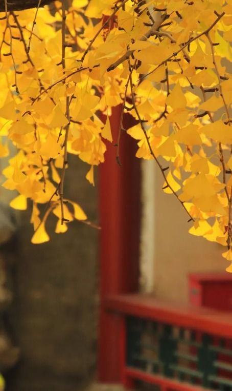 关于写秋天景色的诗句古诗词