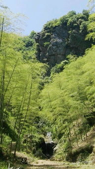 安吉笔架山未命名