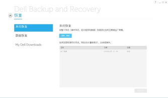 dell backup and recovery不能恢复系统