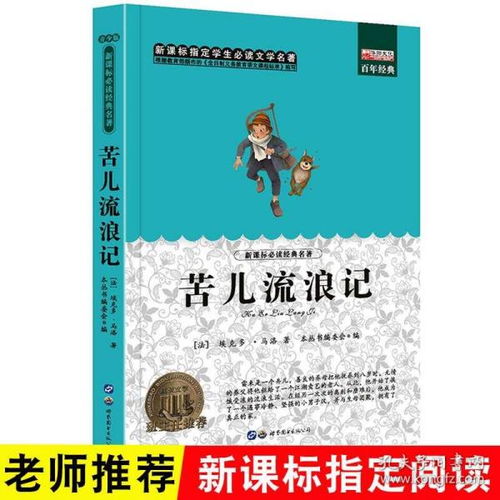 苦儿流浪记无障碍阅读老师推荐新课标小学生课外阅读书籍世界经典名著阅读名师导读好词好句8 12 14岁三四五六年级课外阅读青少版