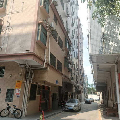 深圳农民房爆改公寓,环境好但我住半年就离开,原因只有3个字