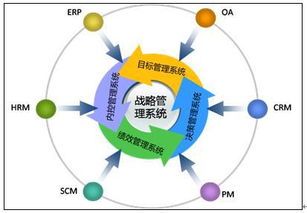 企业领导和高管怎样吸取盈利分红的？