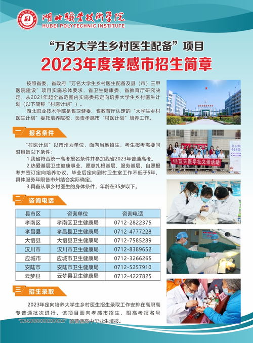 2023年孝感市村医计划