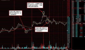 如果我有很多钱，买一只股票时一次性最多可以买入多少股票？