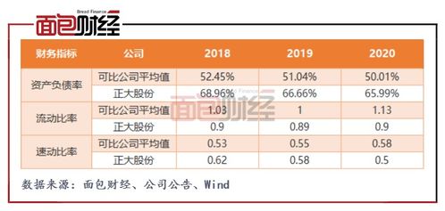 如果股份公司负债超过本公司的价值该怎么还