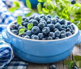 吃蓝莓的七大禁忌 蓝莓的副作用太大了