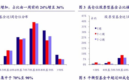 slp是什么意思 基金,SLP基金的定义