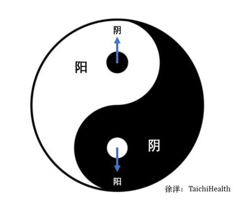 从医学角度解析太极拳的底层原理,一位康复医生十余年的实践和思考