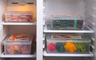 每种食物在冰箱都有最佳位置,80 的崇明人都放错了