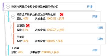 株洲市天元区中融小额贷款有限责任公司怎么样？
