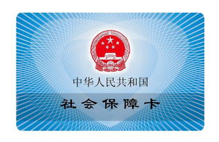 交社保两次填的学历都不一样怎么办(被保险人填的学历不一样)