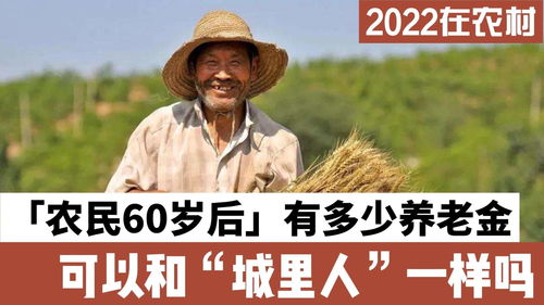2022年农民60岁后,能拿多少养老金,专家建议调整可行吗 