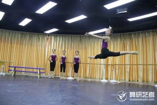 高考艺考舞蹈集训,哪里有高考艺考舞蹈培训的地方，帮帮忙吧！