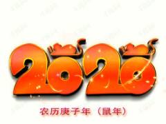 2020年是什么年 2020年出生的宝宝,孩子是什么命