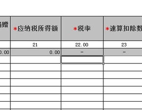 个税申报表填写如图这个格式是怎样的 