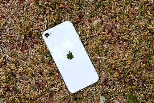 2899元 iPhone SE宣布正式降价 果粉 电池小,样子老 但真香