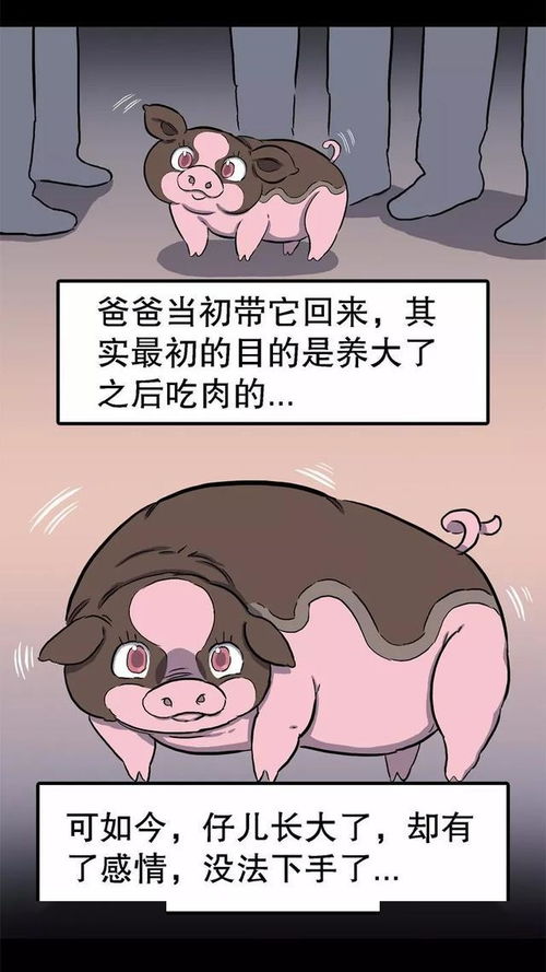 爸爸为什么不爱吃 猪肉 漫画