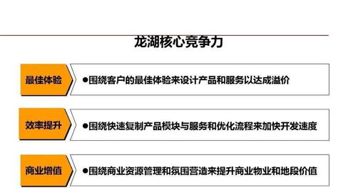 高效查重：精细化操作与策略优化