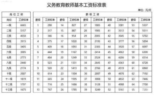 教师工资在哪里查询