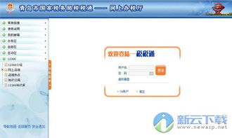 国税网上申报系统下载
