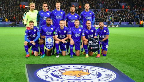 giải Ngoại hạng Leicester City,Giới thiệu về Leicester City