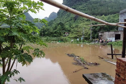 广西河池宜州龙头乡