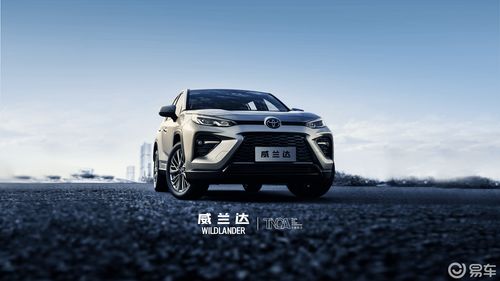 威兰达对比RAV4荣放,师出同门你会选谁 