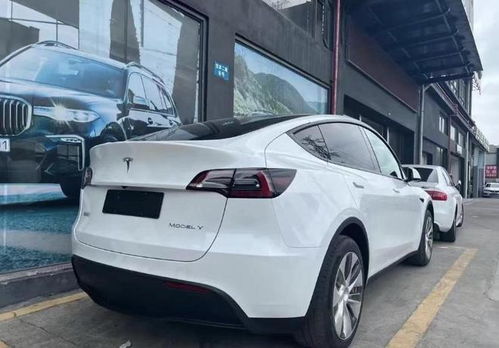 特斯拉modely悬挂硬怎么解决(特斯拉model3悬挂硬)