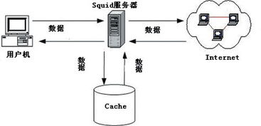 Squid Stunnel怎么搭建代理服务器(vps怎么搭建代理服务器网络)-速云博客