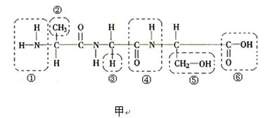 艾德康ELISA180