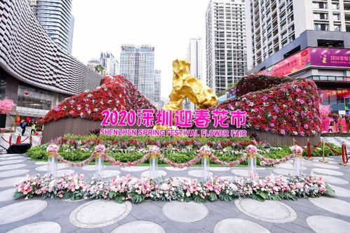 重磅 2021深圳迎春花市中心会场,节庆活动摊位招商开始