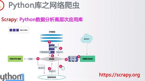 爬网络用语 爬网络用语 NTF