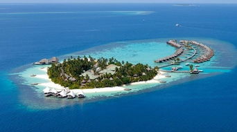 马尔代夫一个岛最多能容纳多少人（马尔代夫有多少岛开放）