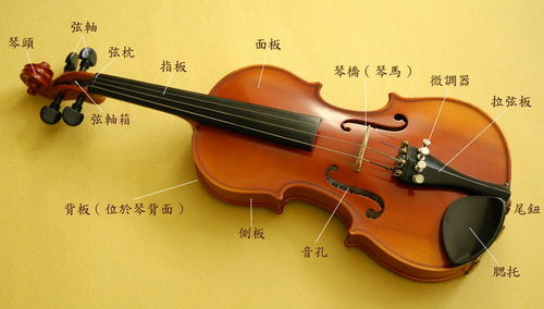 提琴有几根琴弦,小提琴有几根弦??