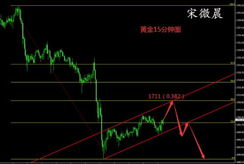 宋微晨黄金行情预测