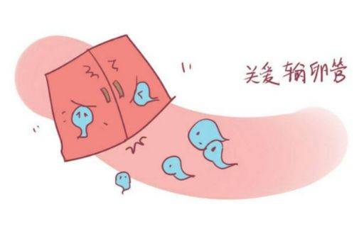 长时间没有怀孕怎么办 需要做哪些检查