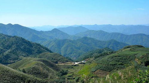 鹅子峰海拔