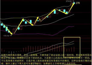 什么是中阴阶段及实战举例.