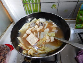 鳕鱼炖冻豆腐的做法大全,冻豆腐的做法大全家常,炒冻豆腐的家常做法大全