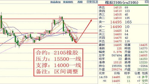 市场价格小幅度的涨跌怎样预先判断？