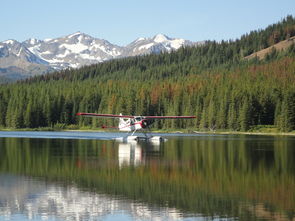 水上飞机,加拿大,湖,山,森林,飞行,不列颠哥伦比亚省 