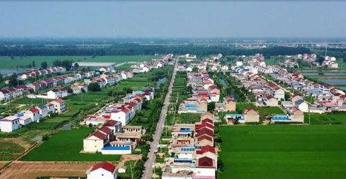 最新 灌南这个村被命名为江苏省特色田园乡村