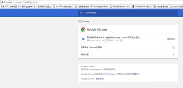  chrome官网首页,搜索 Chrome主页 钱包应用