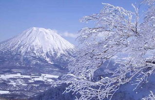 日本北海道雪景 信息评鉴中心 酷米资讯 Kumizx Com