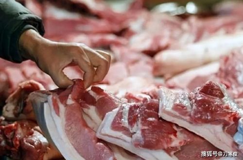 2020年1月3日中央储备冻猪肉投放3万吨