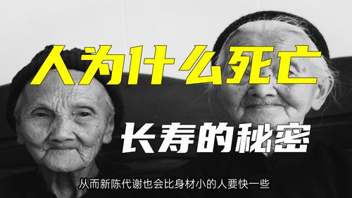 人为什么会死亡,影响人类的寿命是什么 了解之后也许你也能长寿 